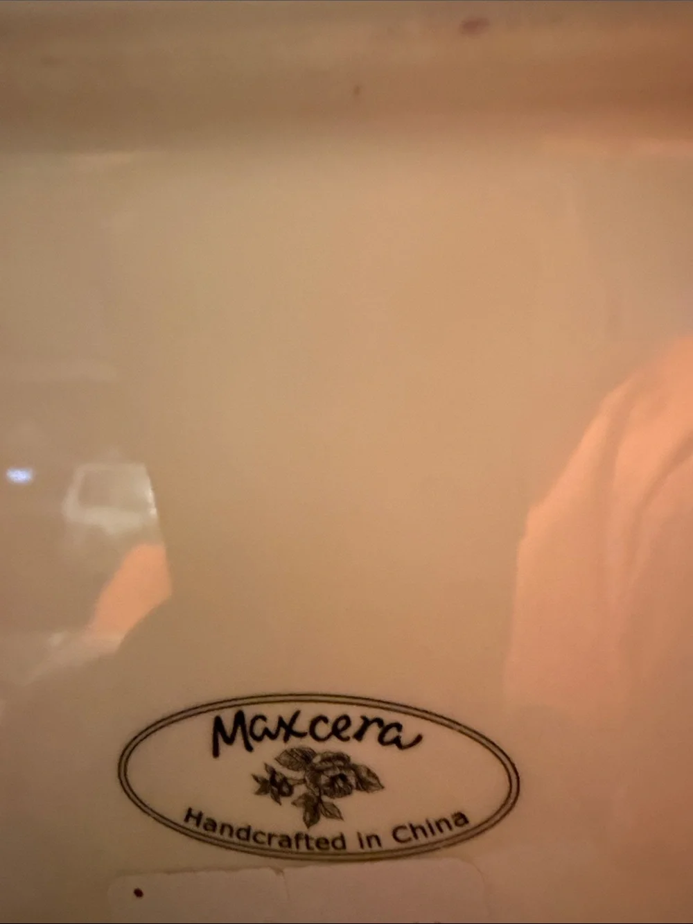 Maxcera Cup hand painted